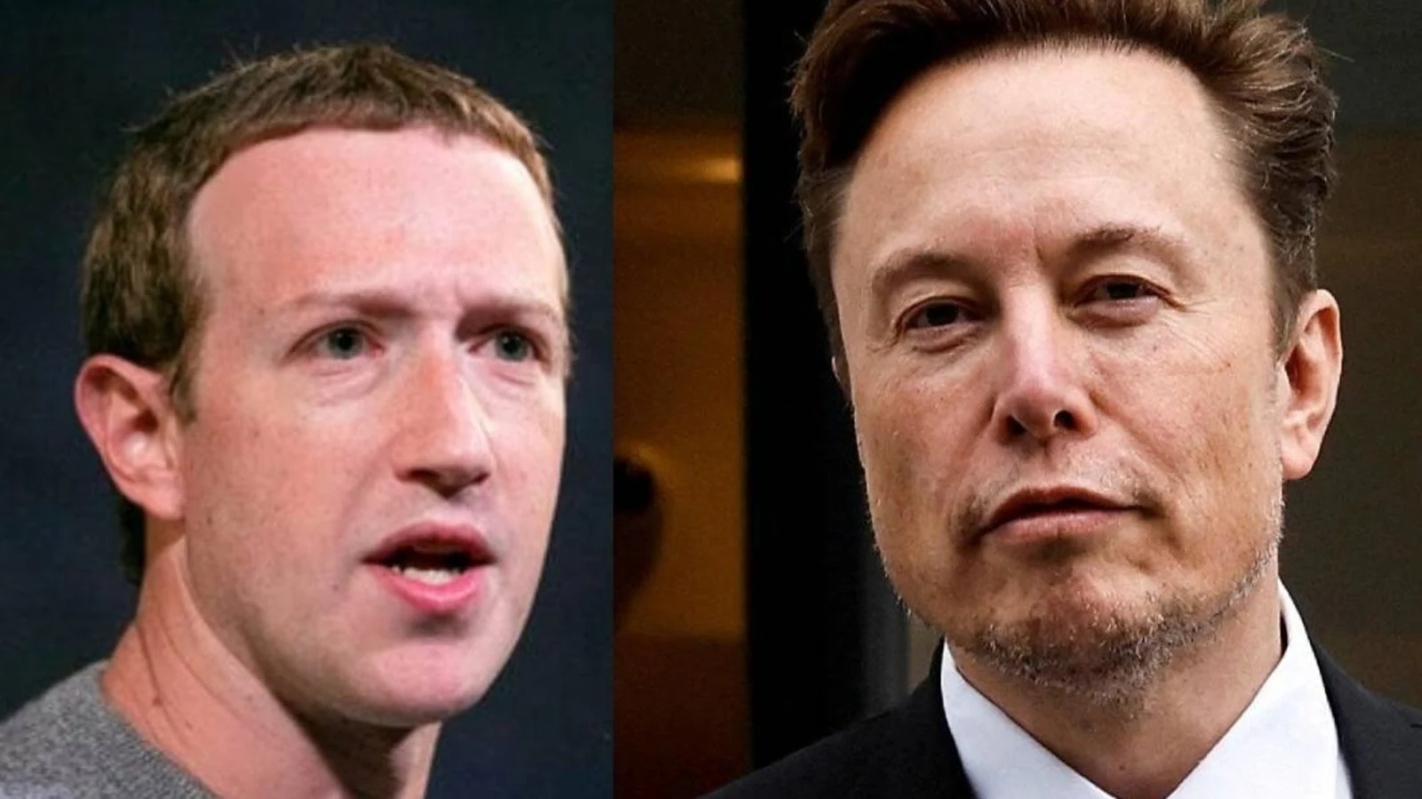 Elon Musk Vs Mark Zuckerberg 