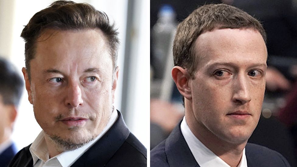 Mark Zuckerberg and Elon Musk