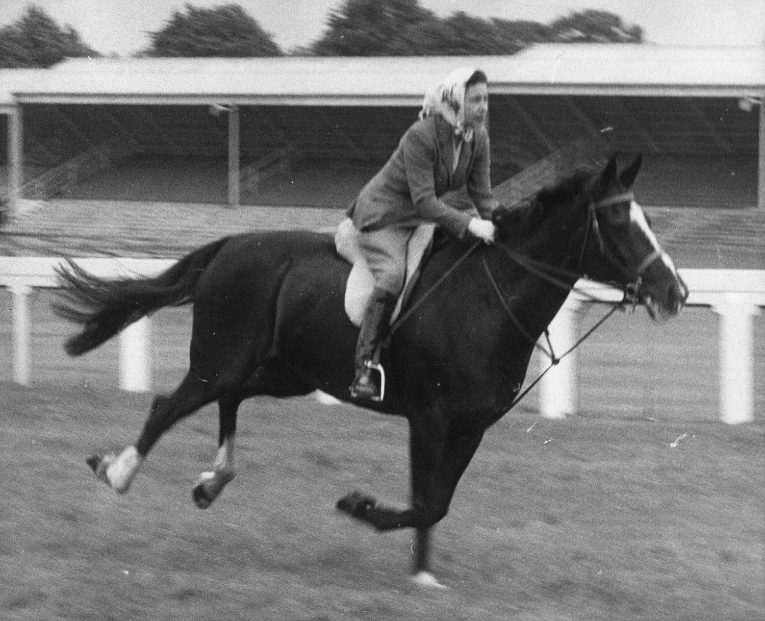 Queen Elizabeth riding a horse