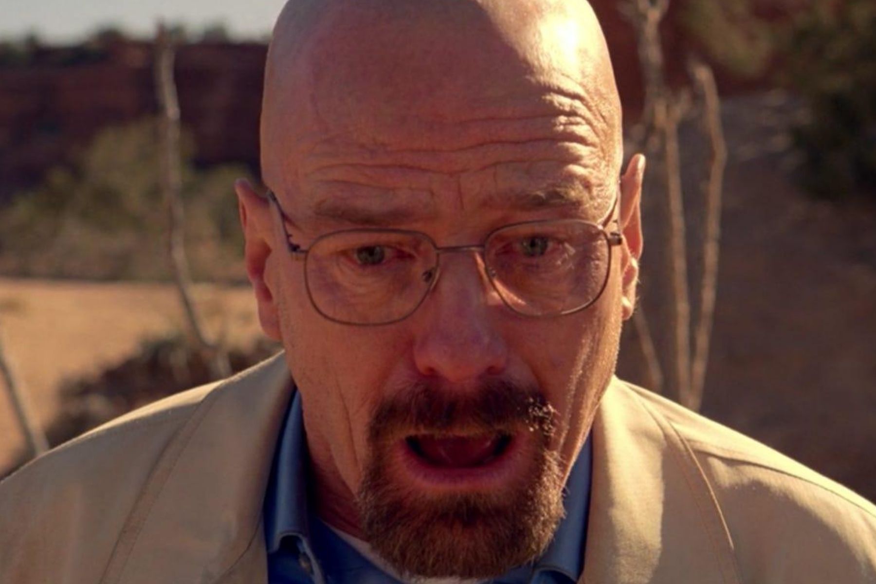 Walter White's tighty whities auctioned off