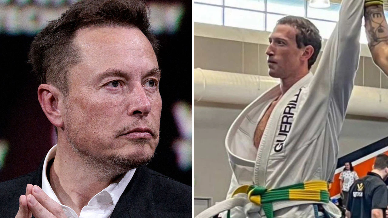 Elon Musk Vs Mark Zuckerberg MMA Fight