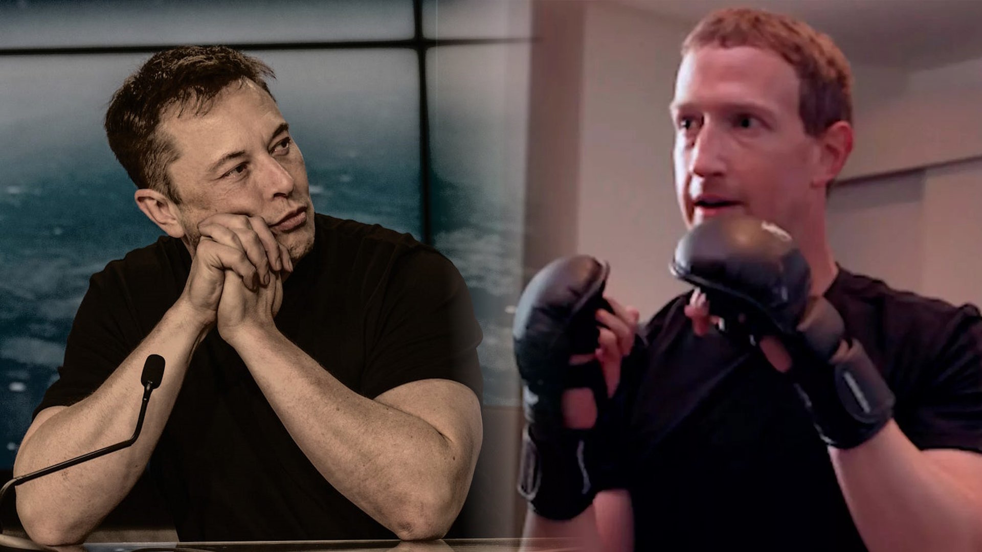 Elon Musk vs Mark Zuckerberg