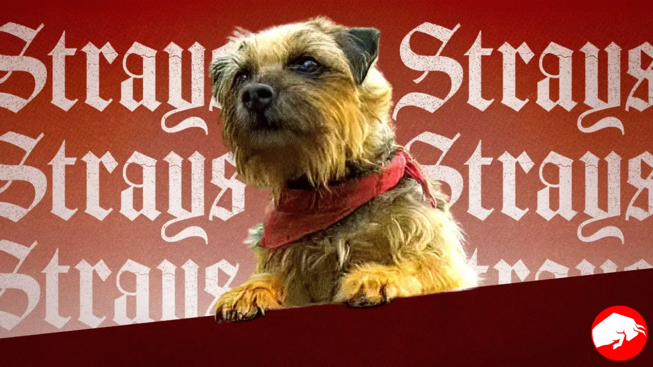 Strays 2023 Watch Online: A Comedic Canine Adventure You Don't Want to Miss [Guide]