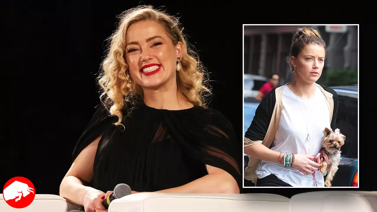 Amber Heard Cleared: No Charges Over Bringing Dogs to Australia