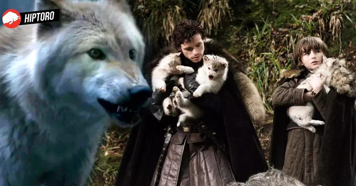 Direwolves, Game of Thrones