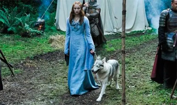 Game of Thrones, direwolves