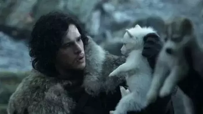 Jon Snow, Game of Thrones