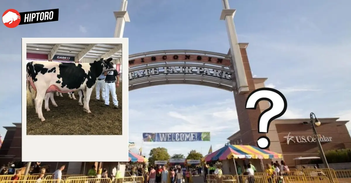 Wisconsin State Fair Racial Cow Slur Controversy: What Does 'Jigaboo' Mean? Explained