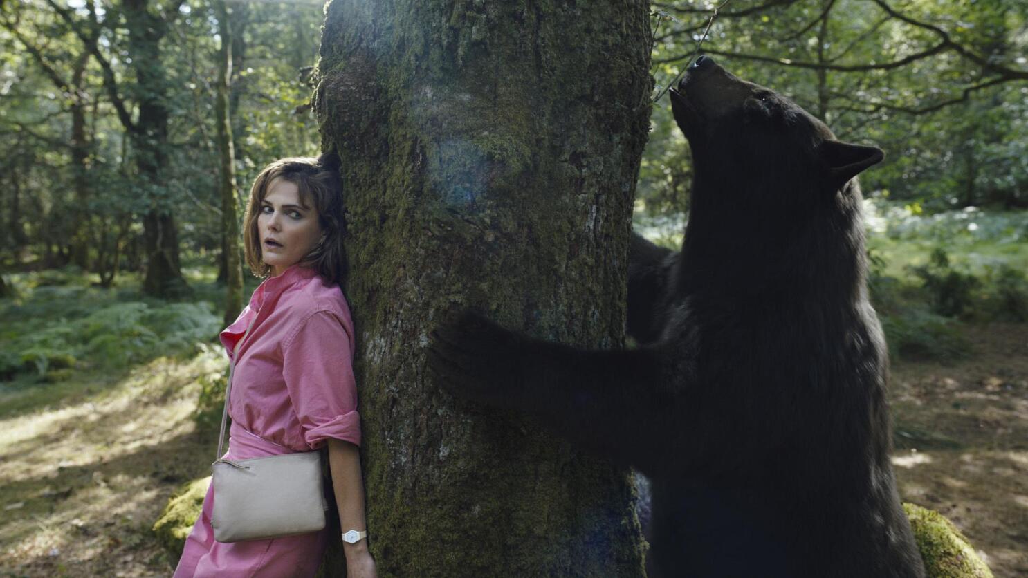 Cocaine Bear" – A Comedic Horror That's Unbearably Entertaining!