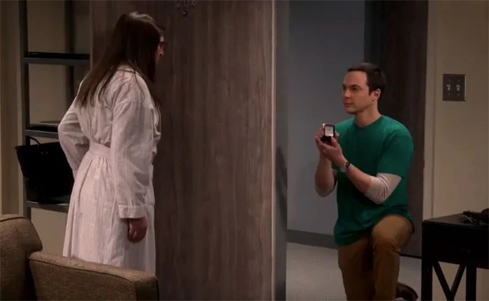 Sheldon proposes