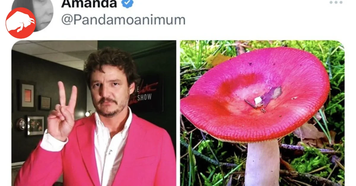 Pedro Pascal's Unexpected Twins: Fans Spot Hilarious Resemblance to Quokkas and Mushrooms on X