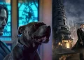 ‘The Continental’ Series Clears Up a Major Confusion from John Wick: Chapter 3!
