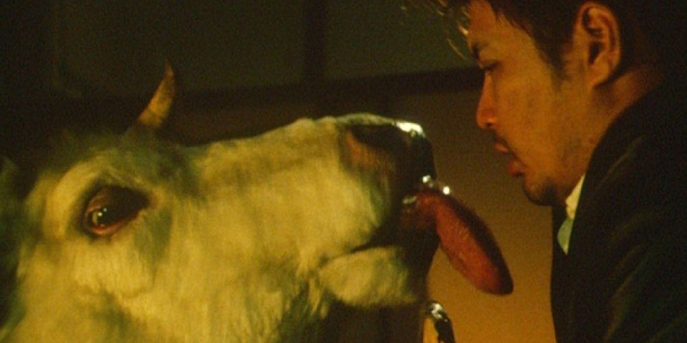 Unmasking J-Horror: How Japan's Scariest Films Redefined Global Cinema