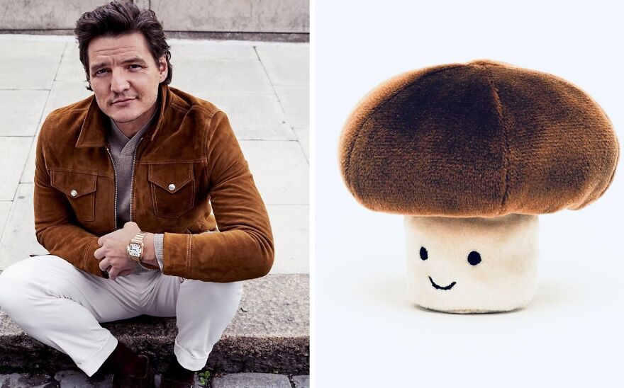 Pedro Pascal's Unexpected Twins: Fans Spot Hilarious Resemblance to Quokkas and Mushrooms on X