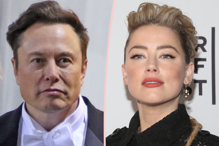 Elon and Amber's Love Roller-Coaster: From 'Mind-Boggling Pain' to Undying Affection