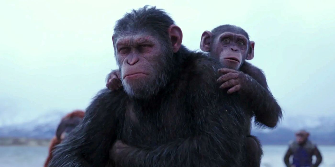 Is Kingdom of the Planet of the Apes About to Change Everything with Time Travel? What Fans Need to Know