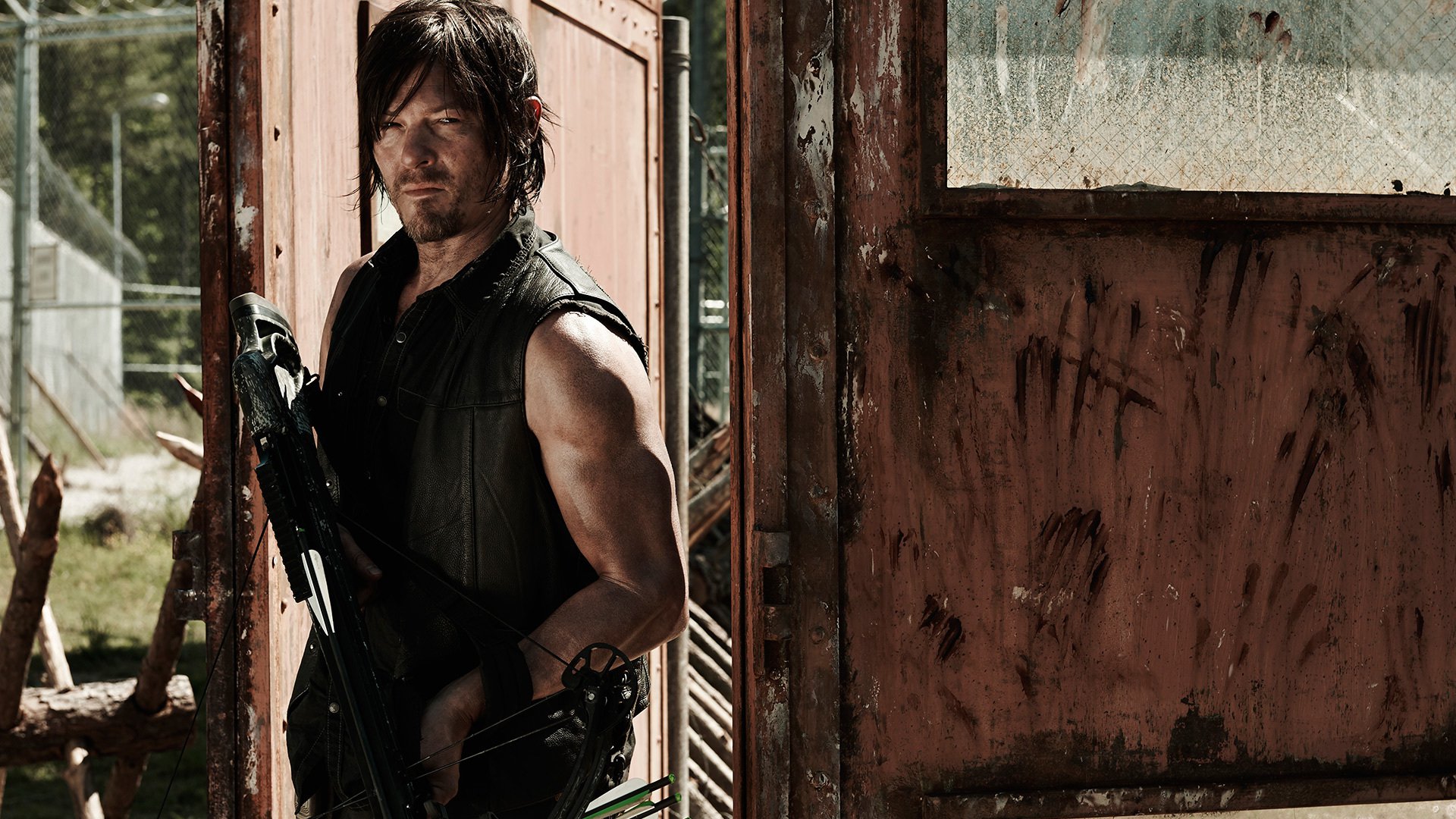 Daryl Dixon's New European Adventures What's Next in 'The Walking Dead' Spinoff's Season 2 