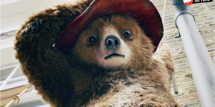 Exclusive Sneak Peek Paddington Bear’s Grand Return in ‘Paddington in Peru’ with Star-Packed Cast and Adventure-Filled Plot