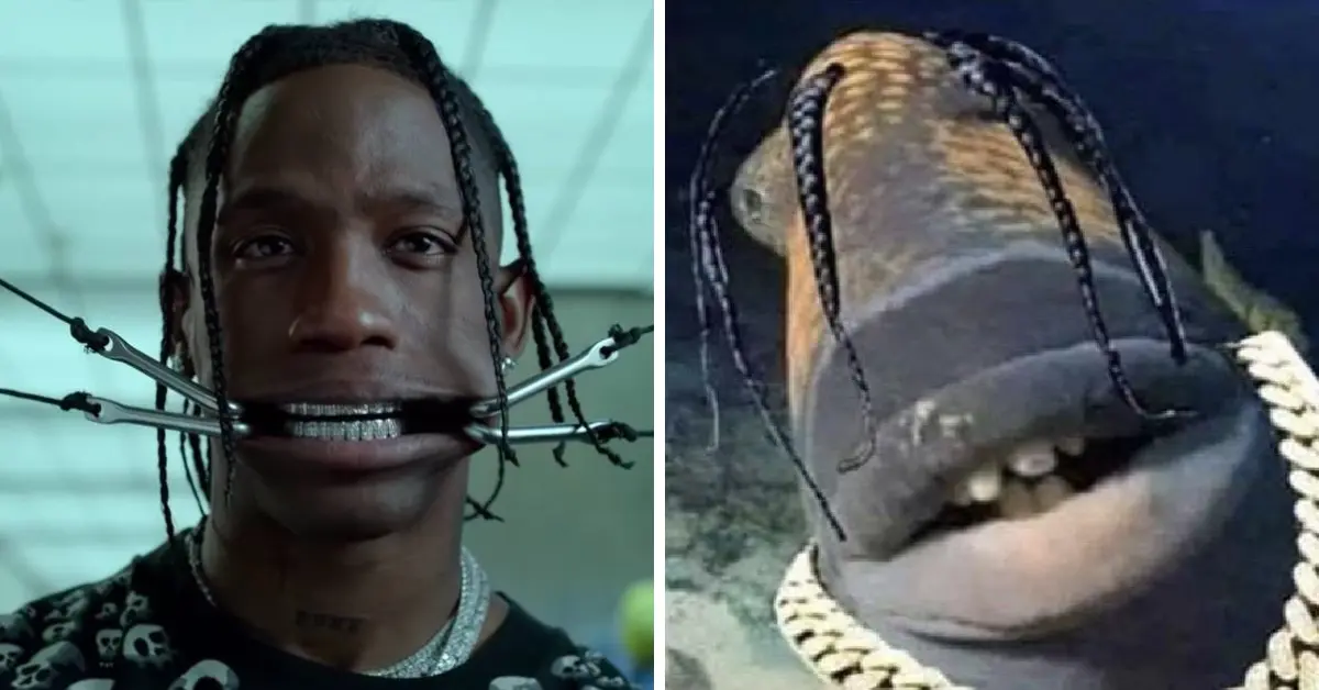 What Is Travis Scott Fish Explained