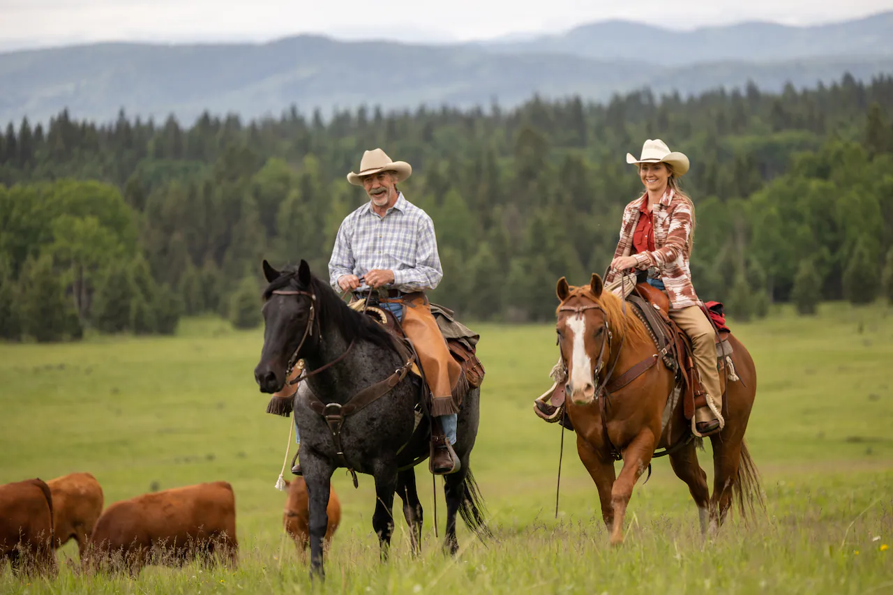 Anticipating the Premiere: 'Heartland' Season 17's Arrival in the US