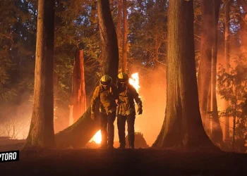 Fire Country Season 2 Ignites Excitement What to Expect from the CBS Drama's Return3