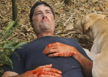 Deciphering 'Lost': A Comprehensive Finale Breakdown