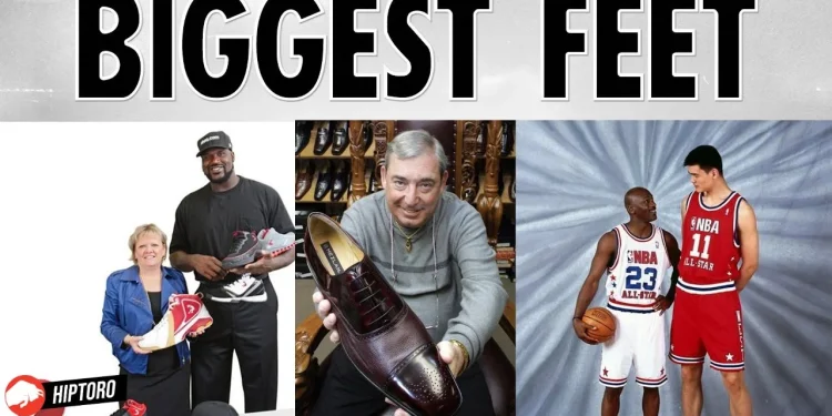 NBA's Biggest Feet Meet the 5 Players with Shoe Sizes That Tower Over the Rest12