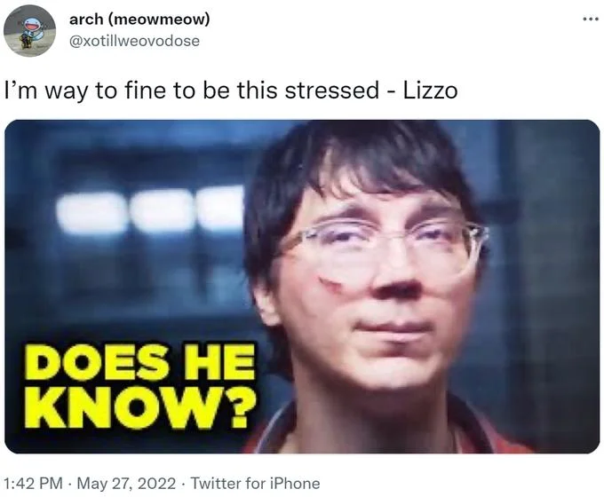 Exploring the Charm of 'Does He Know': A Viral Meme's Impact on Online Humor and Interaction