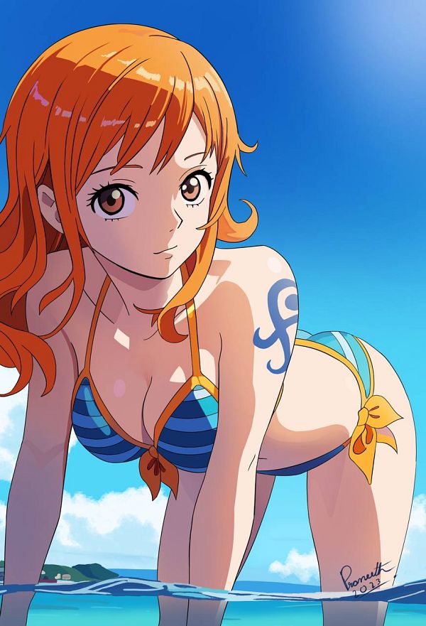 One Piece Cosplay nami