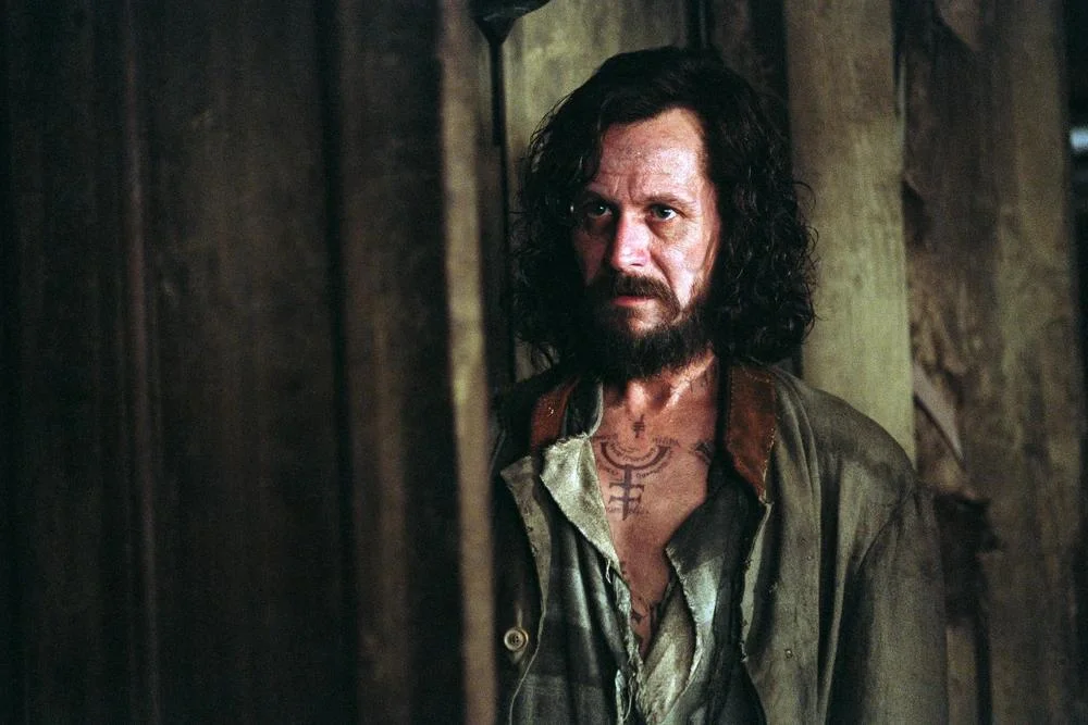 Gary Oldman's Candid Reflection: Reevaluating His Role as Sirius Black in Harry Potter