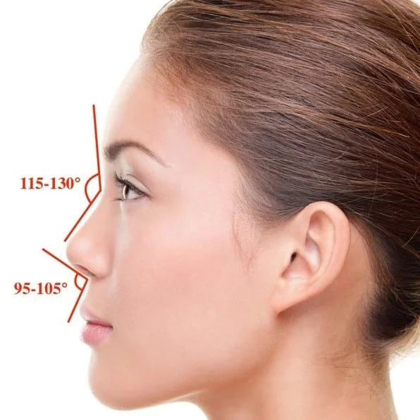 9 Unique Aquiline Nose Shapes: Exploring Diverse Roman Nose Varieties