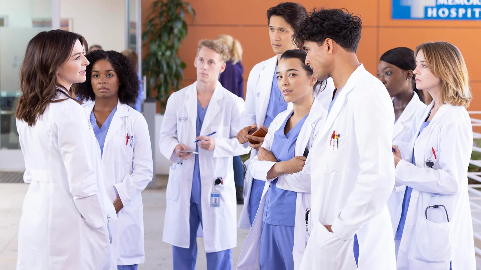 After 19 Seasons, Grey's Anatomy Faces Its Most Crucial Crossroads Yet