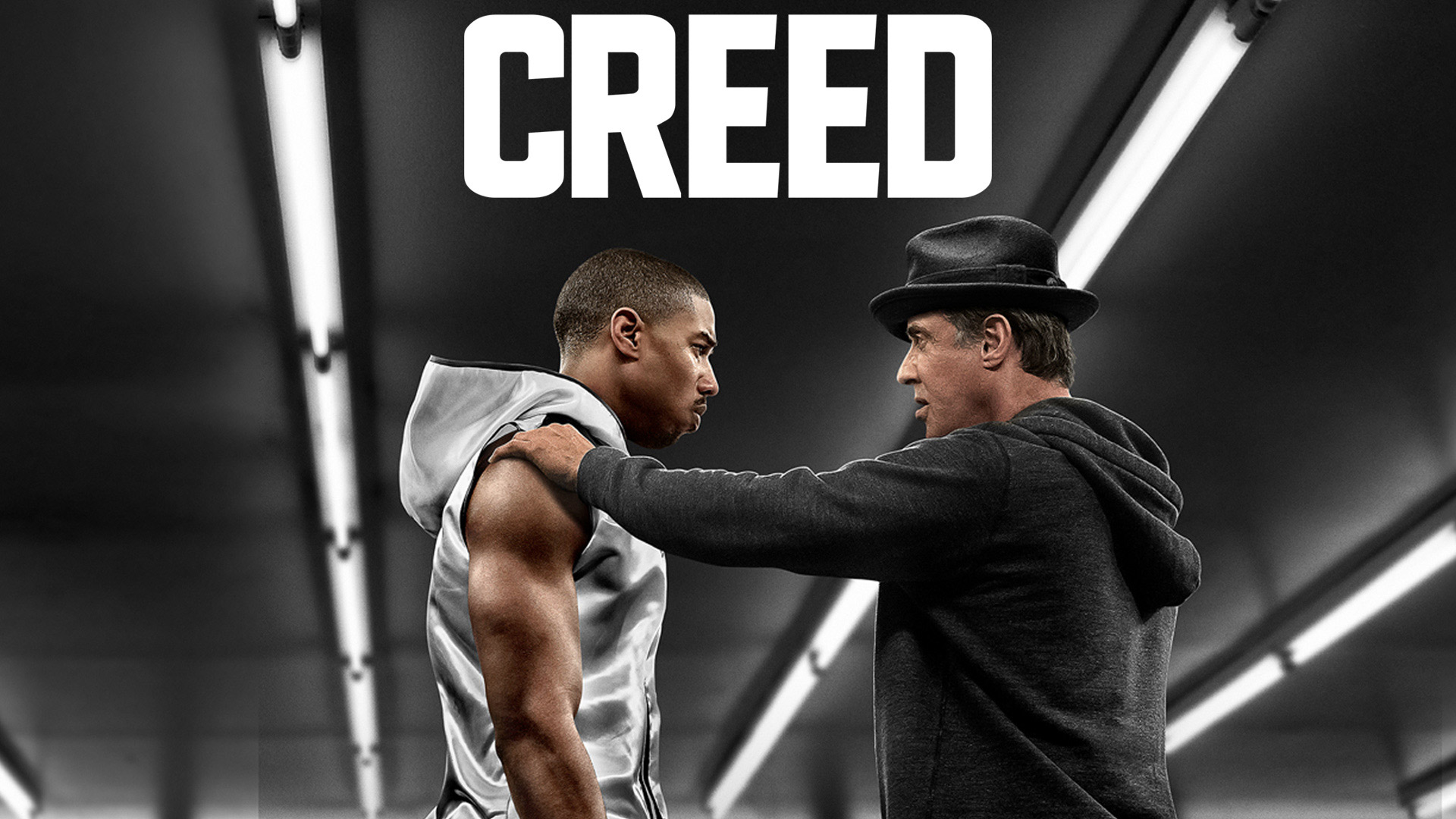 Everything You Need to Know About Creed 4 Michael B. Jordan's Next Big Hit in the Boxing Movie World--