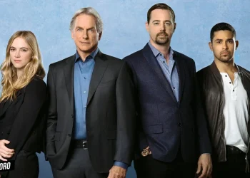 Is 'NCIS' Coming Back Inside Scoop on Season 22's Cast, Plot, and Air Date Rumors1