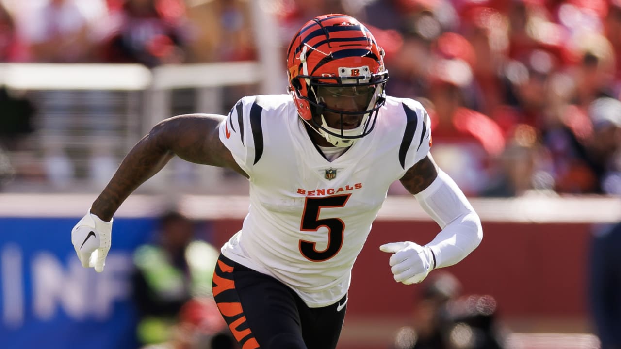 Tee Higgins' Rise to Fame From Clemson Star to Bengals' Key Player