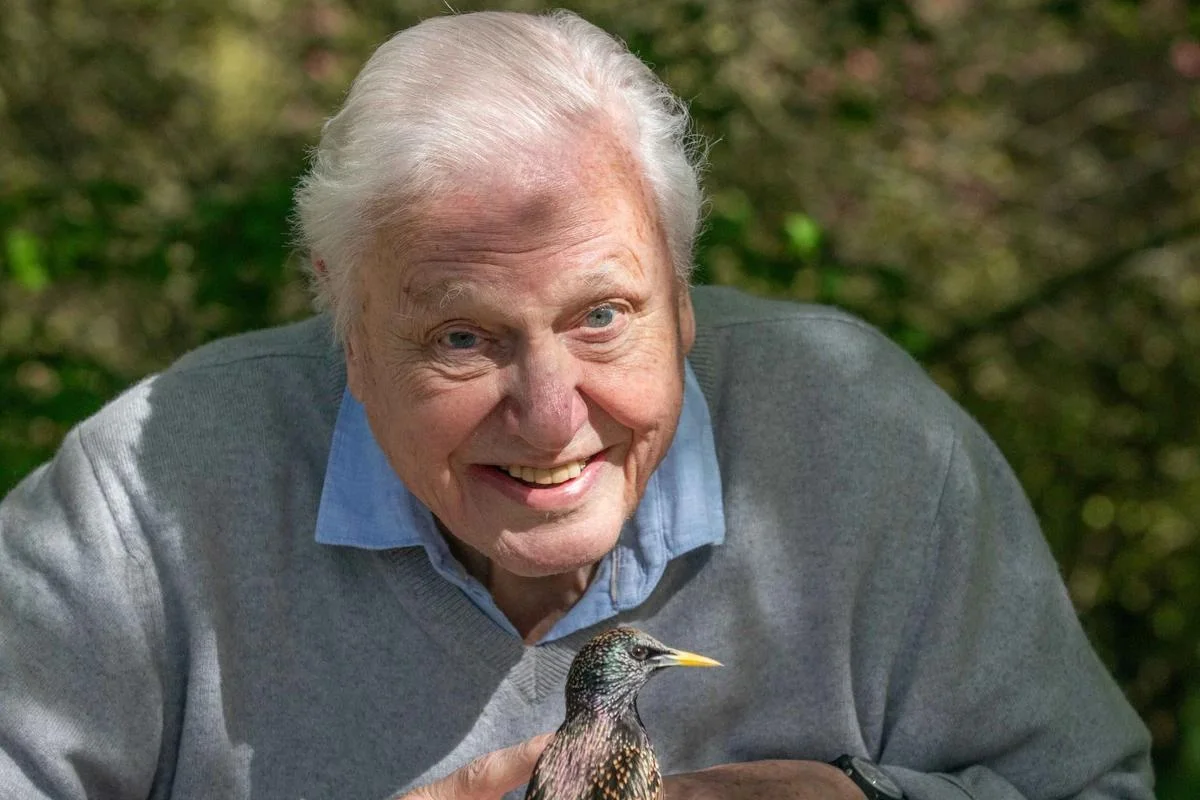 David Attenborough New Groundbreaking Documentary on Sky