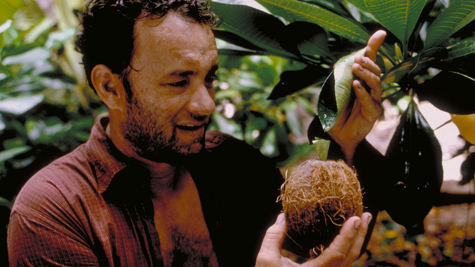 The Enduring Legacy of Cast Away How Tom Hanks' Near-Death Experience Amplified Its Impact