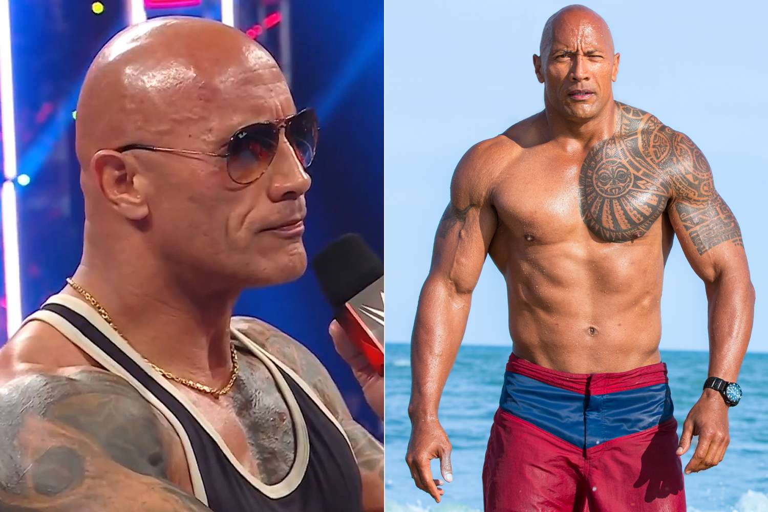 Top 10 movies of Dwayne Johnson-