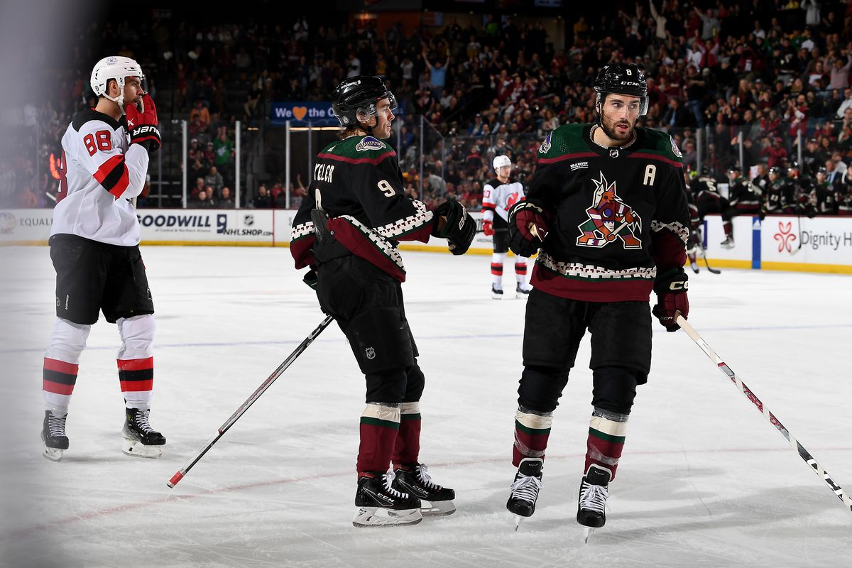 Big League Changes Why the Arizona Coyotes Are Moving to Salt Lake City Next Season-