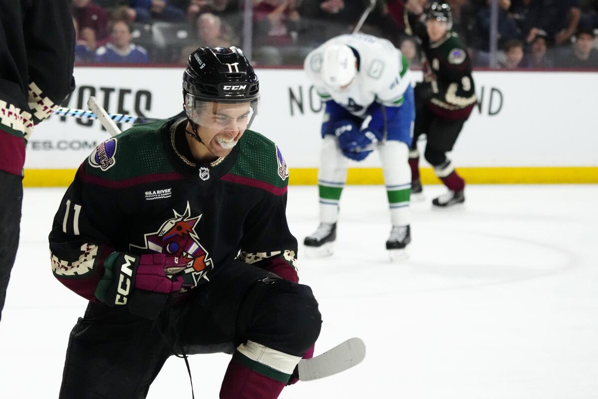 Big League Changes Why the Arizona Coyotes Are Moving to Salt Lake City Next Season---