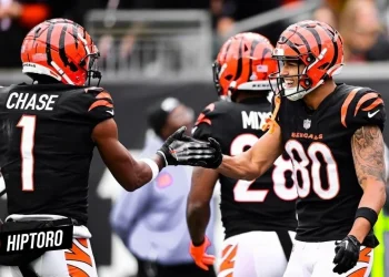 Unveiling the Future: Cincinnati Bengals' Draft Strategy and Offensive Tackle Prospects