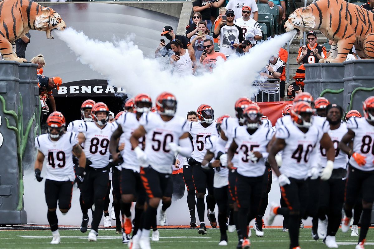 Cincinnati Bengals A Force to be Reckoned with in 2024 
