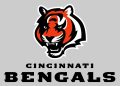 How Will the Cincinnati Bengals Address the Concerns Raised by the NFL Analyst in 2024?
