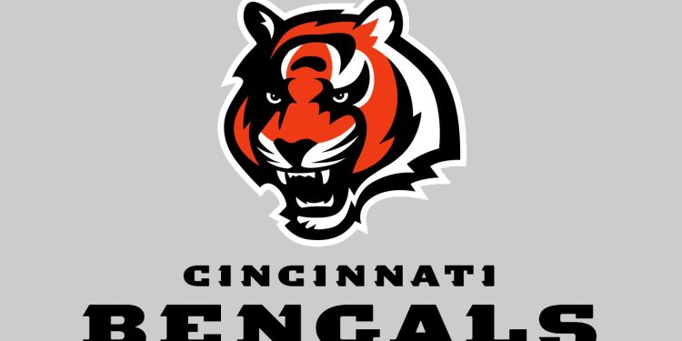 How Will the Cincinnati Bengals Address the Concerns Raised by the NFL Analyst in 2024?