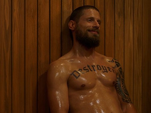 Matt Lauria, tv shows