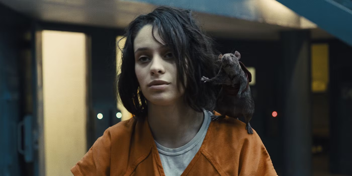 Daniela Melchior, Suicide Squad